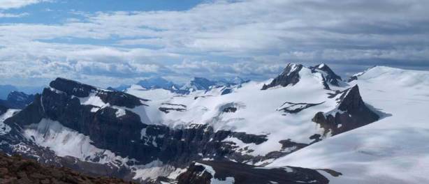 Vulture, Olive and St. Nick