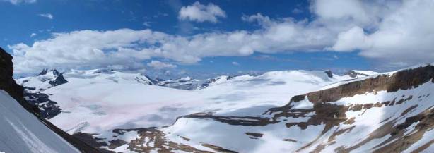 Panorama of Wapta Icefield