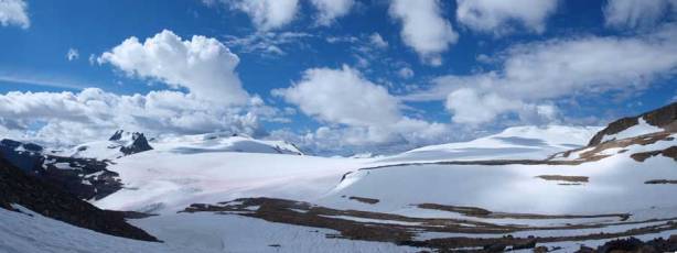 Panorama of Wapta Icefield again