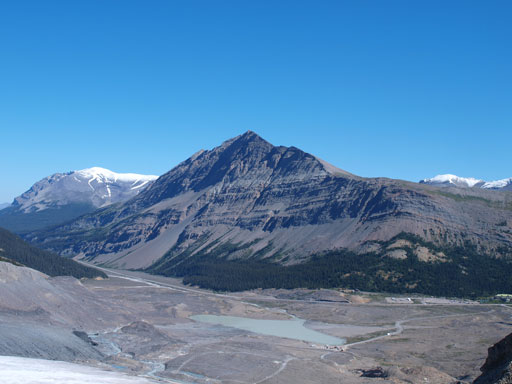 Wilcox looks big again.