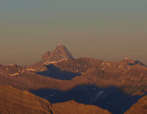 Mount Assiniboine at golden glow