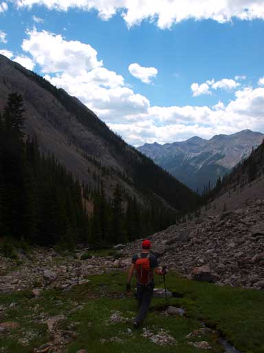 Almost back into the trees now.