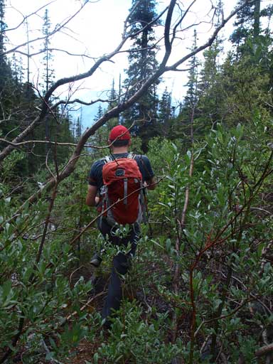 The drainage gets bushy at places, but briefly.