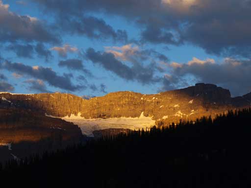 Crowfoot Glacier
