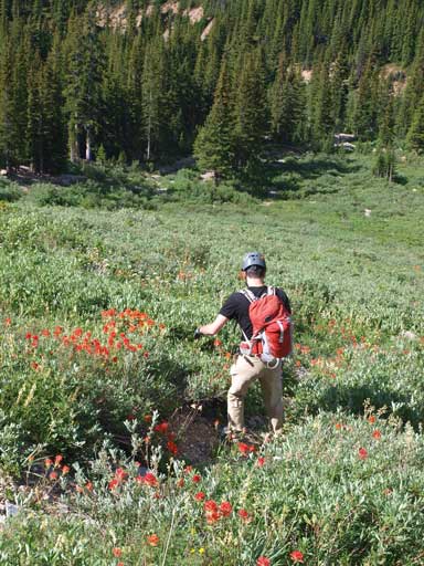 Hiking through a field of flowers