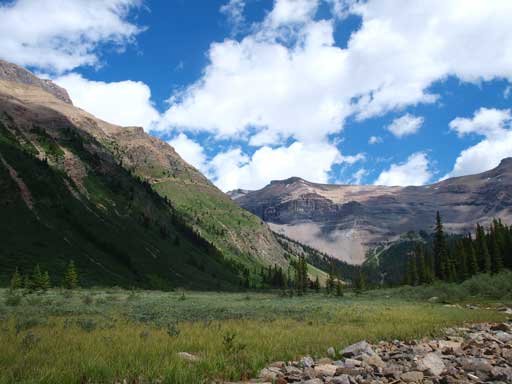 At a flat meadow field. Going straight ahead