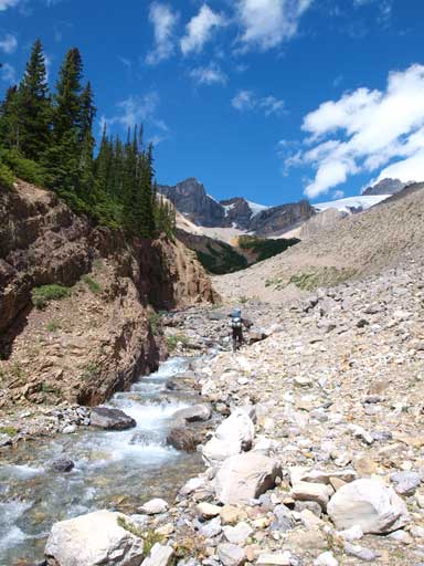 Out of the trees now, at the creekbed leading up the upper valley
