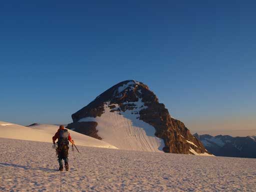 Shaun will have a date with Brazeau soon!