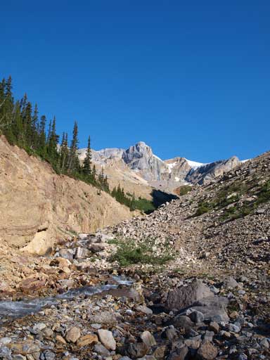 Down to the creek bed