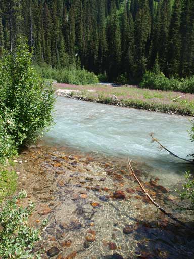 Almost back to the parking lot. Still had some nice views.