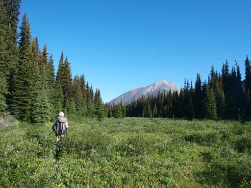 Still on the overgrown trail. Cumnock ahead