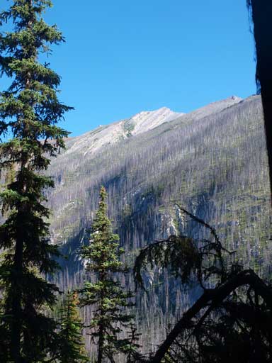 Finally got close to the base of Cumnock