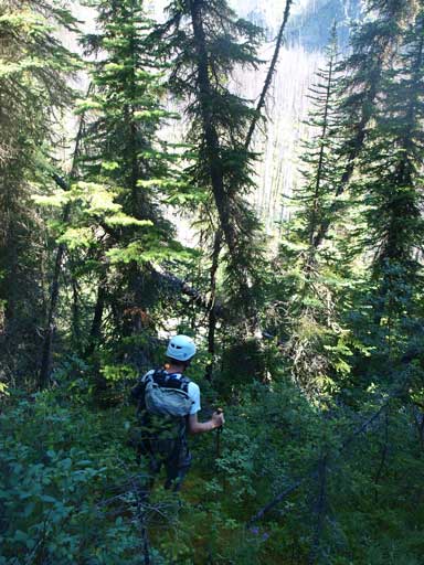 Bailed the trail to get down to De Smet/Cumnock pass