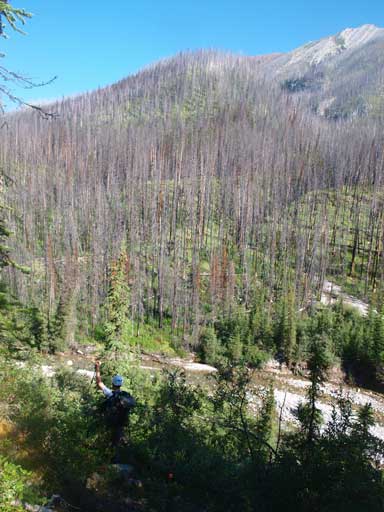 This bit was bushwhacky