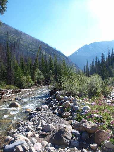 Down to the creek now. As you can see, it's not hard to cross.