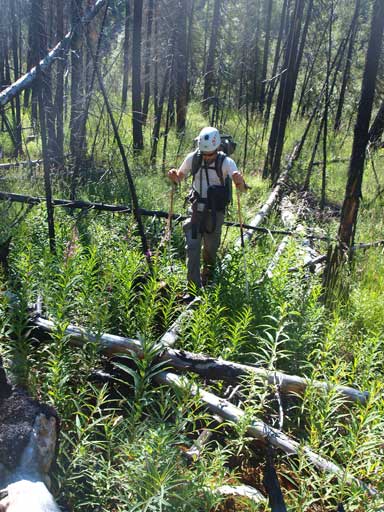 Up the other side. Ben is having fun with the deadfalls