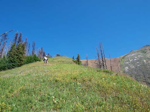 We merged to a grass field