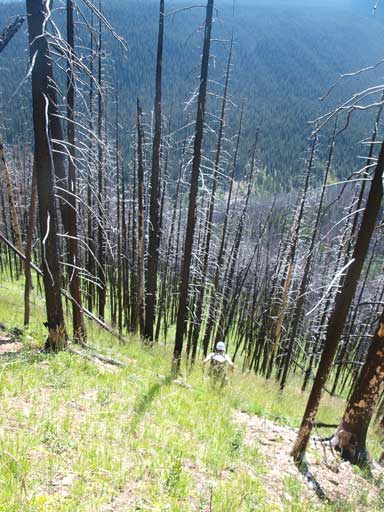 Descending steep grass slope