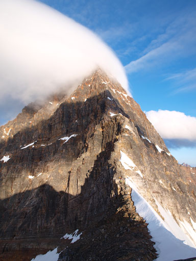 Really to rock n' roll?!