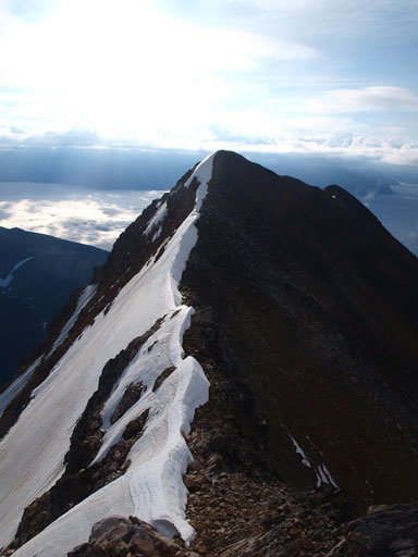 Looking back at a bump and the bench