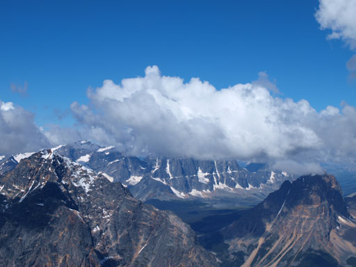 The Ramparts were too shy to show up