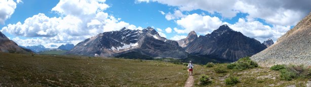 Panorama from the alpine meadow