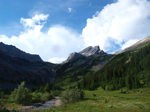 Back to Niles Meadows