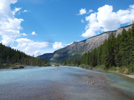 The trail crosses Mistaya River