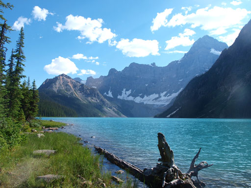 Finally got to Chephren Lake