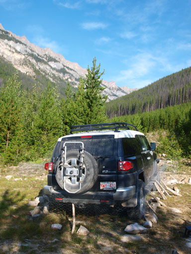 There were chicken wires at the parking lot