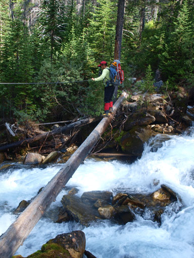 Dan crossing the sketchy log bridge