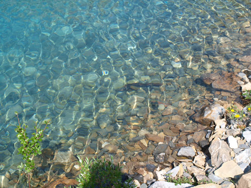 The water was crystal clear