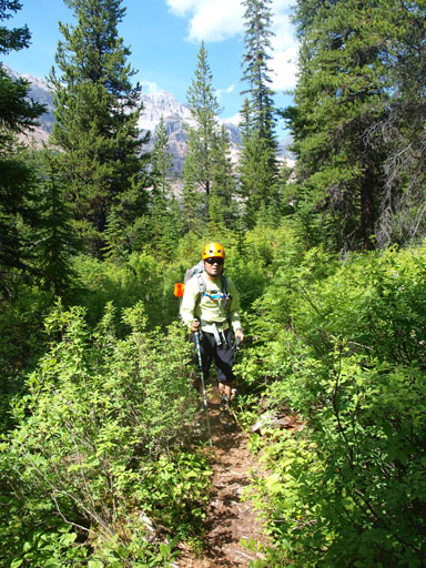 And then into the woods