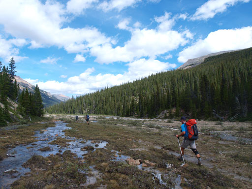 Warriors marching on!