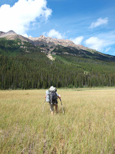 Now come the bog/swamp...