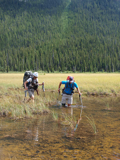 Post-holing in swamp...