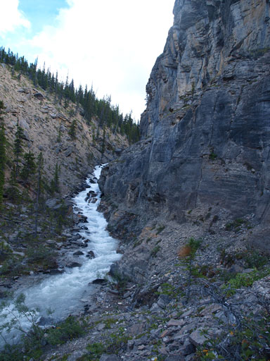 Now what we gonna do.. 