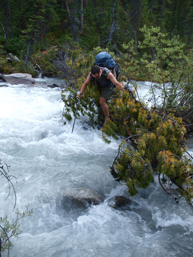 Backtracking. Eric and I decided to cross the raging torrent using this log. 