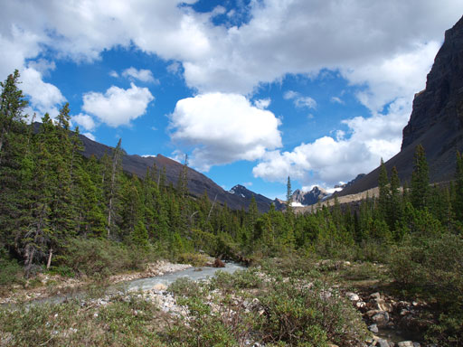 Looking ahead to this "innocent" looking valley. Still a long freakin' way to go.