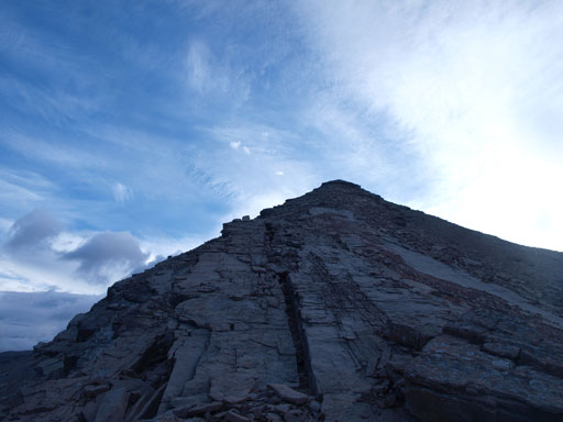 Looking up. Very foreshortened!