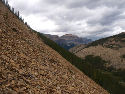 It almost came to the end. Almost into the bush now.