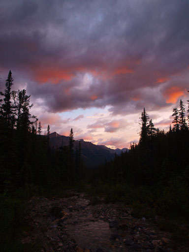 Morning glow on Sunday