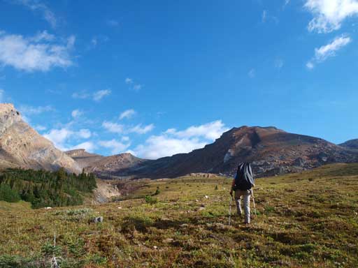 Ascending into the alpine.