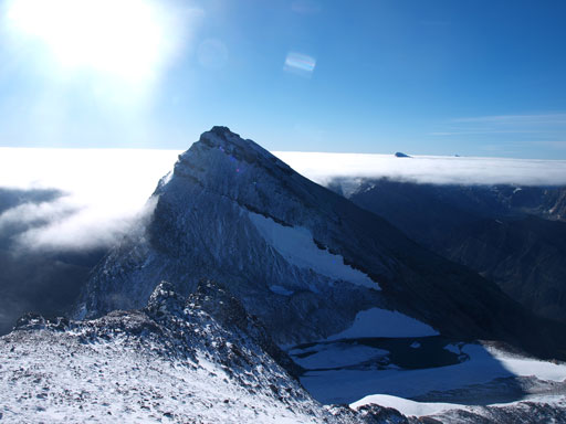 Crown starts to look big