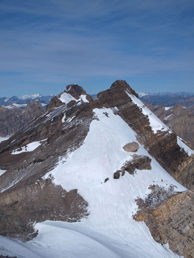 Willingdon and Crown