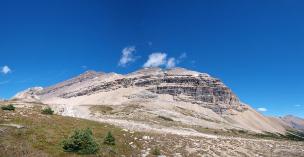 Looking back at our objectives