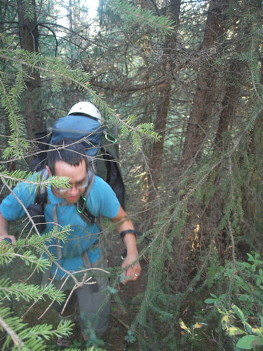 The initial bush wasn't that bad.