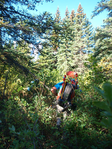 But it soon got rougher