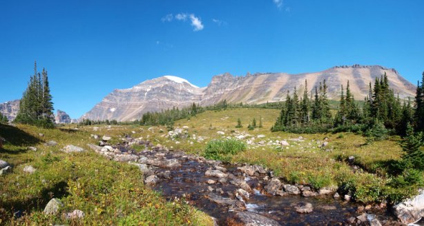 Now we finally made to the alpine meadows