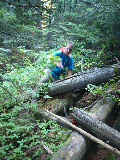 Vern hoping dead-falls, one after another...